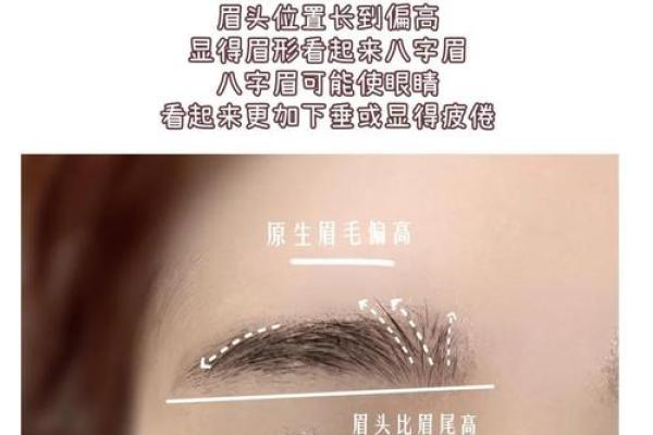 八字眉毛修饰图解女人命运