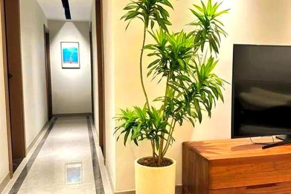 假花摆放在家里影响风水有哪些方面呢