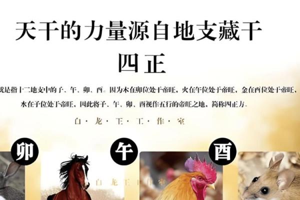 八字地支一冲三或三冲一什么意思，三支冲一支的化解方法