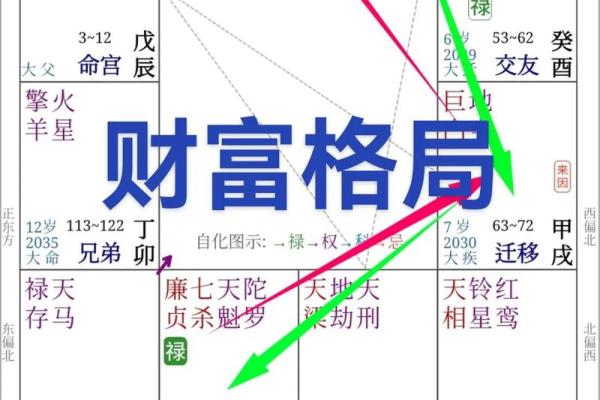 紫薇斗数宗师级