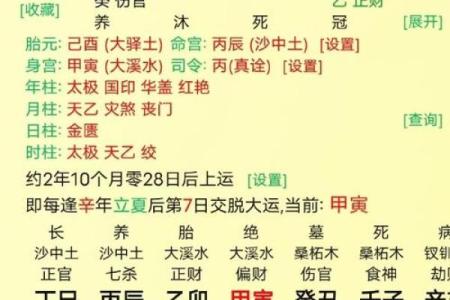 做命理的八字,什么样的命格适合做命理师