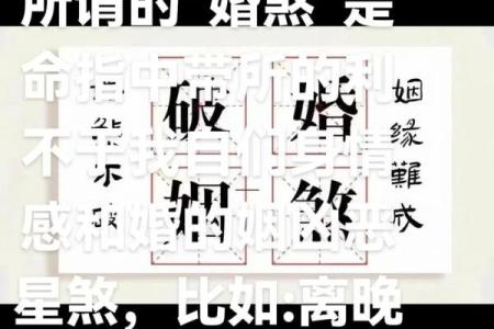 算命说有两个替子