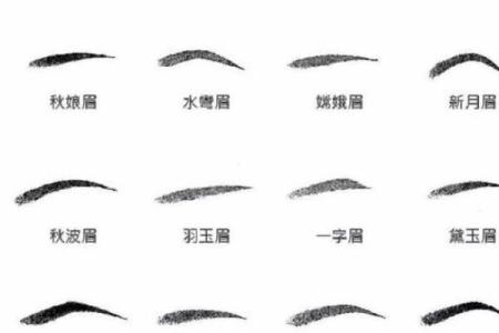 八字眉毛修饰图解女人命运