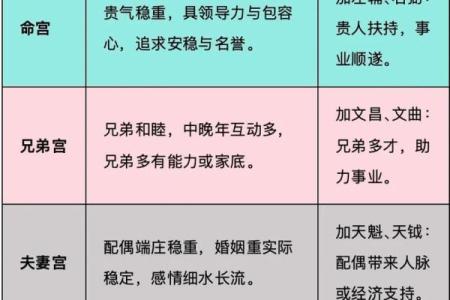 迁移宫看在外吉凶#紫微斗数教学