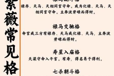 紫微斗数诸星落诸宫之：廉贞星财帛宫详解