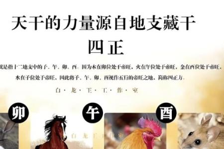 八字地支一冲三或三冲一什么意思，三支冲一支的化解方法