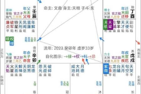 紫薇斗数好工作