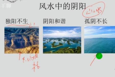 每天学风水：店铺风水布局概要