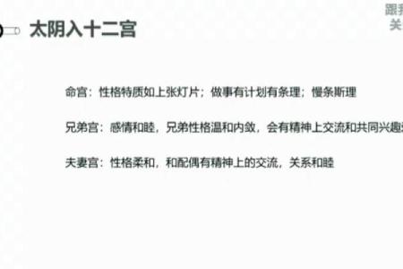 紫薇斗数宗师级