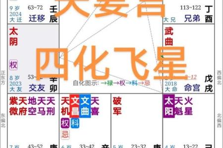 紫薇斗数破禄