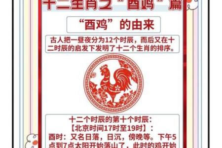 今年运势算命属鸡男