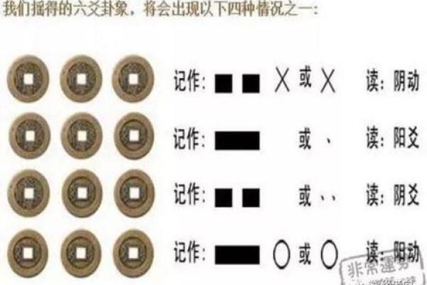 命运爱情号,六爻金钱课与八字