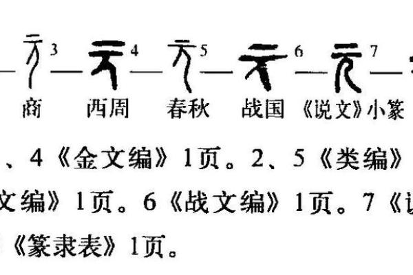 亨贞紫薇斗数