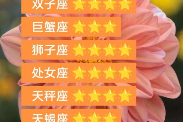 巨蟹女双子男星座运势金牛座