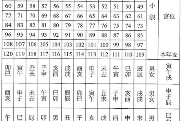 紫薇斗数免费排盘华易