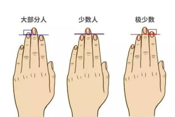 手指算命 手指预测爱情
