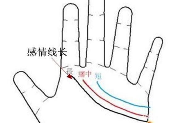 手指算命 手指预测爱情