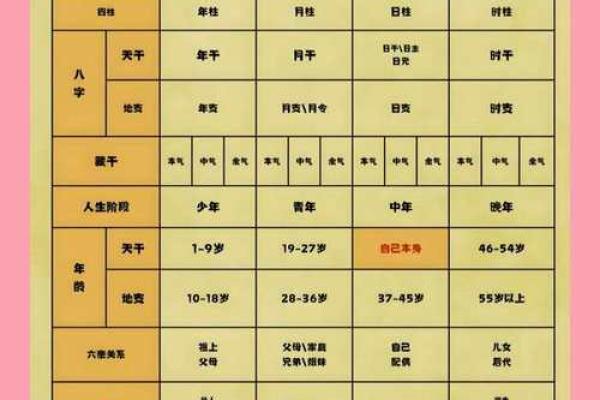 八字信息解析教程，让你轻松掌握八字学问