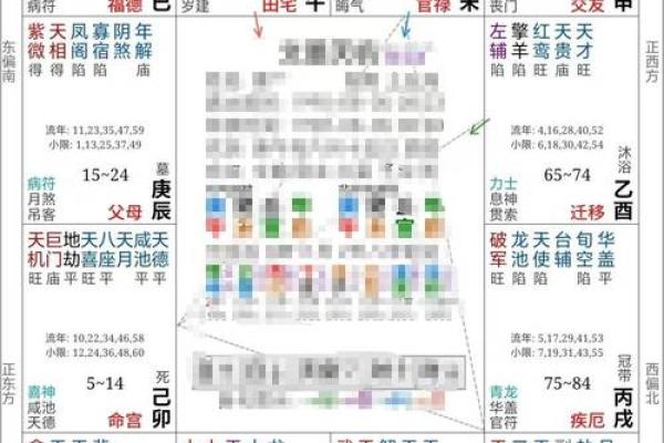 紫薇斗数禄出