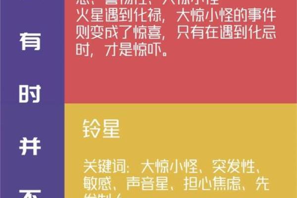 紫薇圣人八字的简单介绍