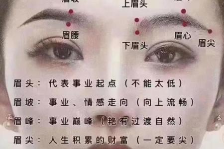 八字眉毛的女人命运好不 八字眉的女人性格