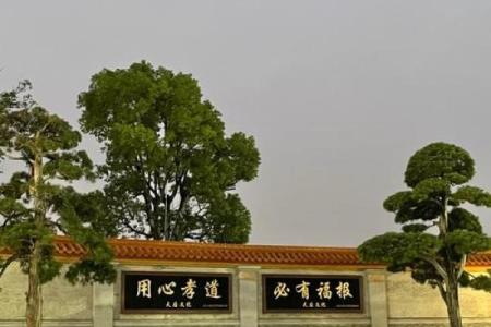 东凤天后宫灵签解签六十六