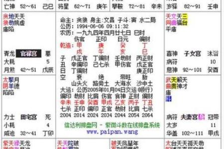 紫薇斗数免费排盘华易