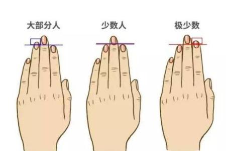 手指算命 手指预测爱情