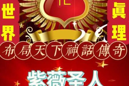 紫薇圣人八字的简单介绍