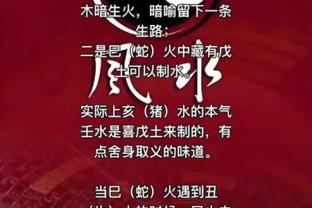 湛江遂溪风水算命
