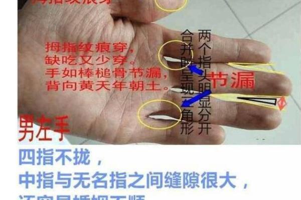 五分钟教你学看八字案例83集：偏弱之格 比肩争夺财星 婚姻迟
