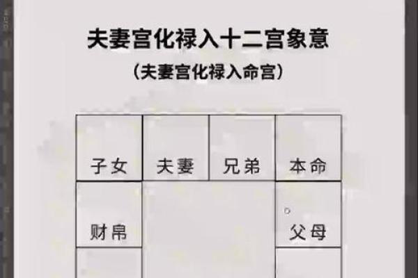 夫妻宫看紫薇斗数