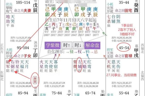 紫薇斗数盘是什么