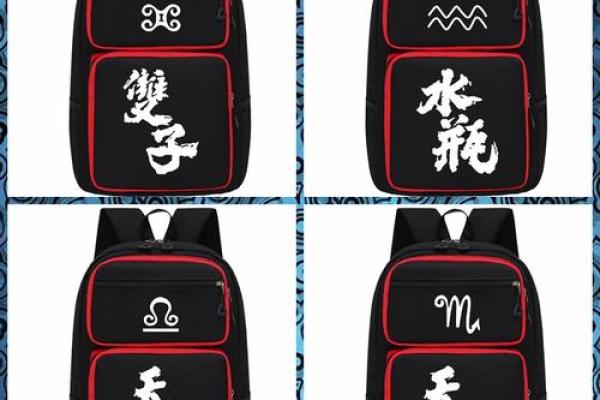 十二星座适合背什么的书包男