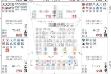 夫妻宫看紫薇斗数
