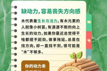 怎么给生于2024年腊月二十四的八字缺木男孩取名字？