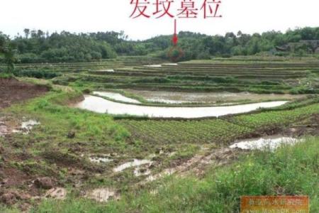 如何看祖坟地风水宝地