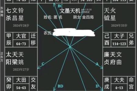 紫薇斗数看生子年
