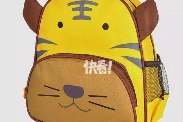十二星座适合的书包是什么样的