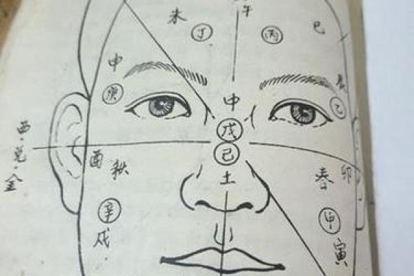 五官看面相算命图解女眼睛 眼睛看相算命图解