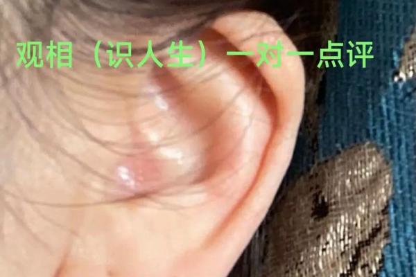 风水面相耳朵垂大的人代表有福气吗
