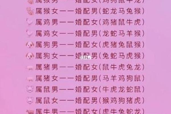 属羊和属鼠的八字合吗