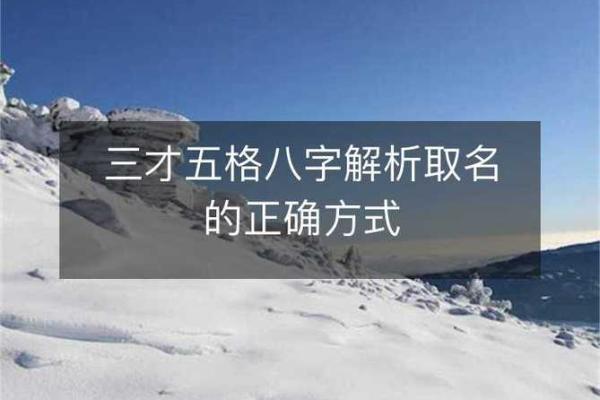 五格八字取名