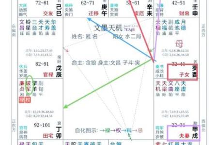 下紫薇斗数盘