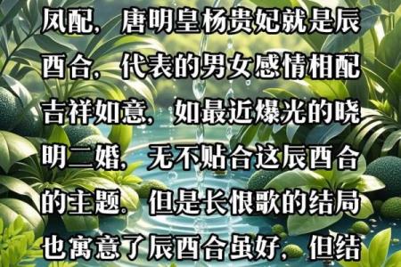 有龙凤命的八字特征