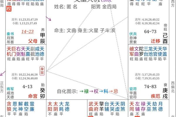 预测包括紫薇斗数