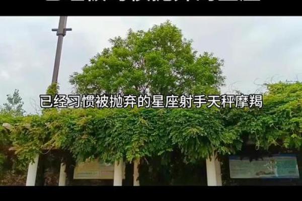抛弃小孩的三个星座有哪些