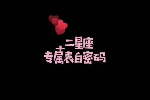 十二星座专属手机密码