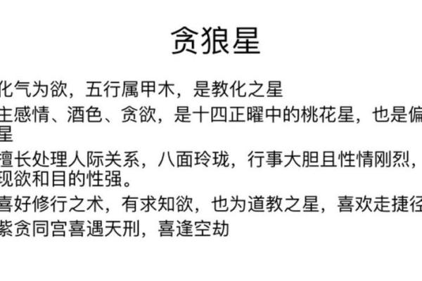 看紫薇斗数贪狼
