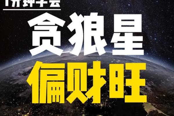 看紫薇斗数贪狼